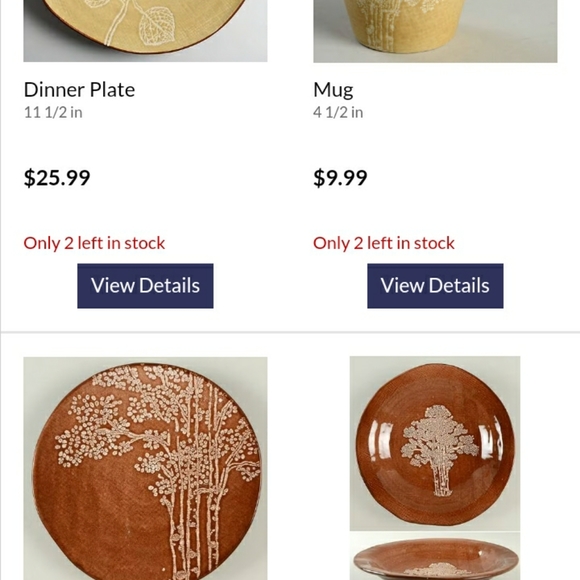 Cabela's  River Birch Stoneware 10" Soup Bowl 🍜 - Picture 7 of 16